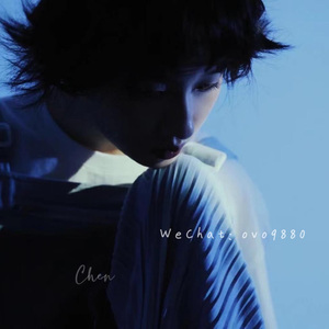 毛片免费全部免费播放
