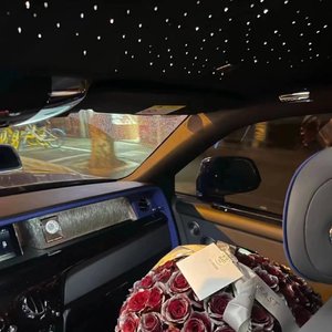 毛片免费全部免费播放
