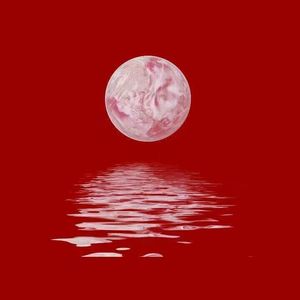 毛片免费全部免费播放
