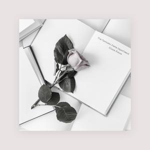 毛片免费全部免费播放
